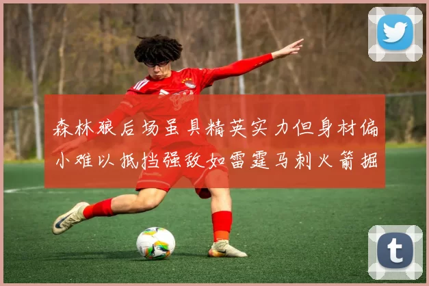 森林狼后场虽具精英实力但身材偏小难以抵挡强敌如雷霆马刺火箭掘金