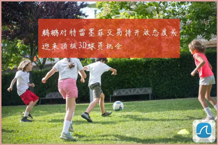鹈鹕对特雷墨菲交易持开放态度或迎来顶级3D球员机会